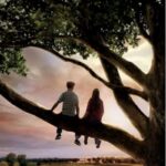 플립(Flipped,2010): 풋풋한 첫사랑의 감정을 섬세하게 담은 영화